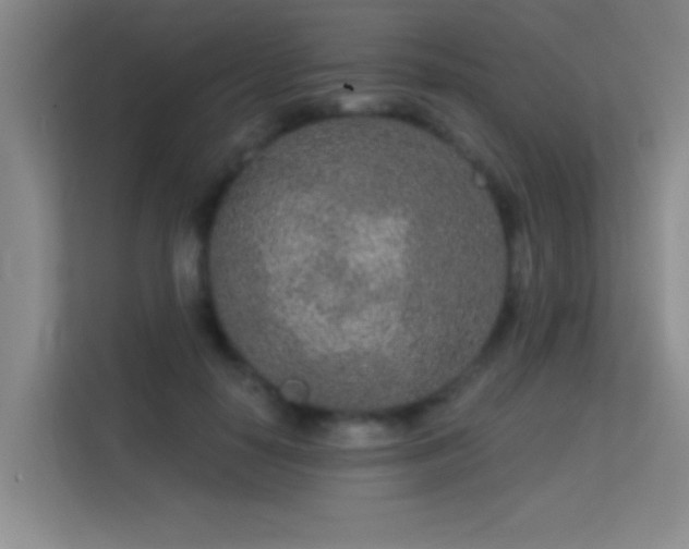 X0000113630650200909251221