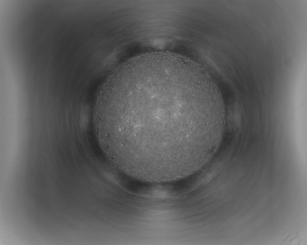 X0000113630656200909251221