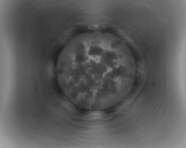 X0000113630659200909251221