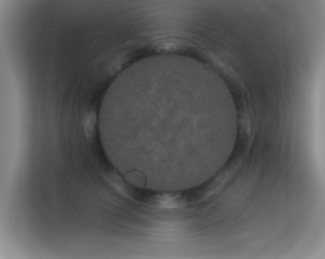 X0000113630660200909251221