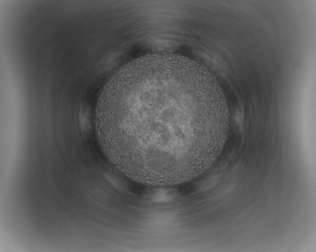 X0000113630663200909251222