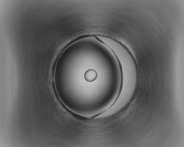 X0000113630673200909251221