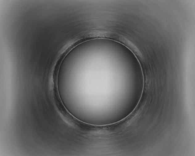 X0000113630674200909251221