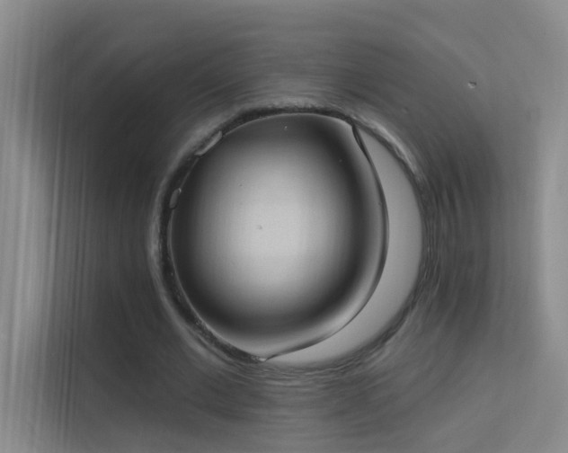 X0000113630677200909251221