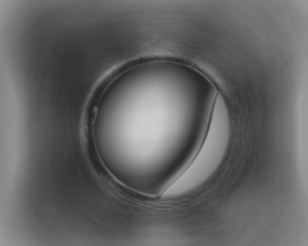 X0000113630680200909251221