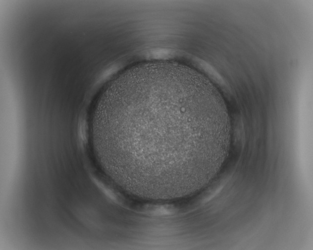 X0000113630683200909251221