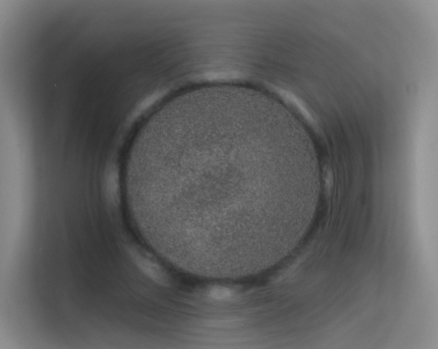 X0000113630684200909251221