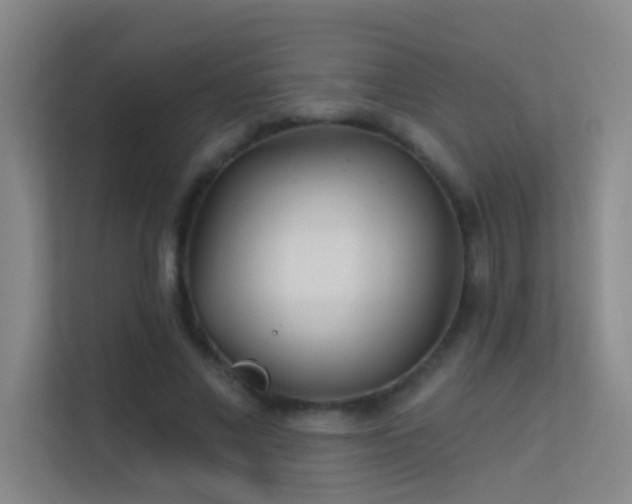 X0000113630685200909251221