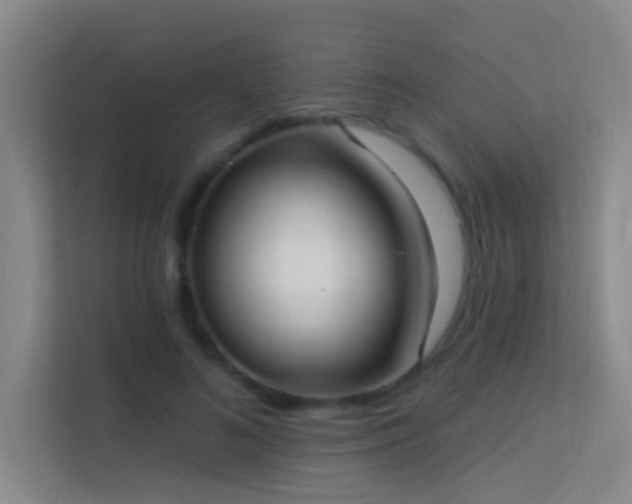 X0000113630692200909251221