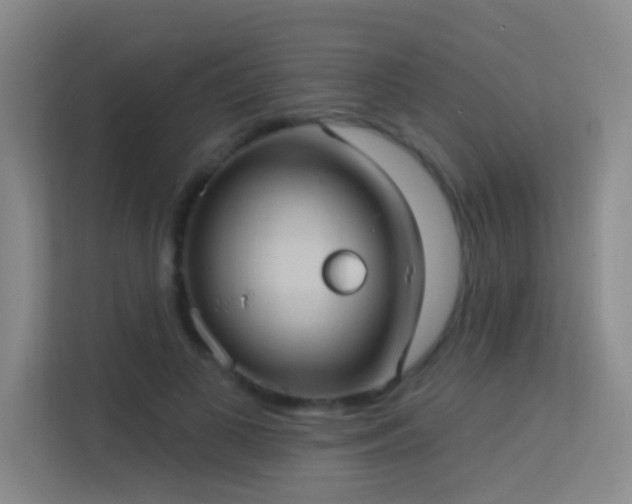 X0000113630693200909251221