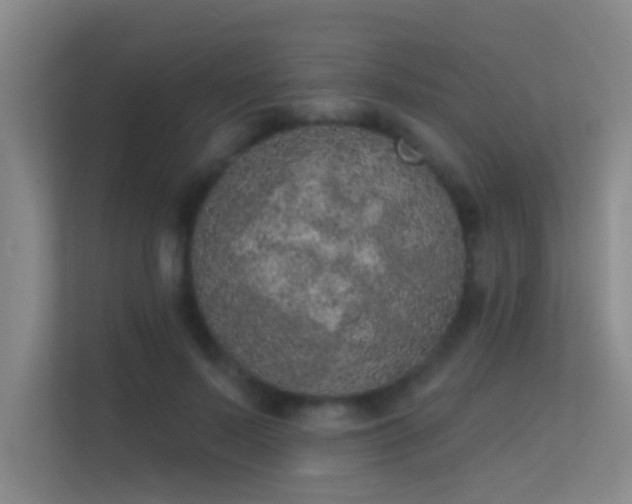 X0000113630695200909251221