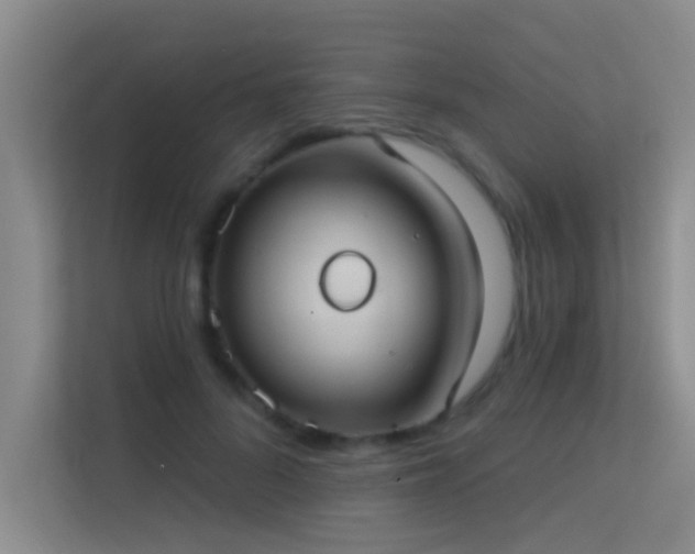X0000113630696200909251221