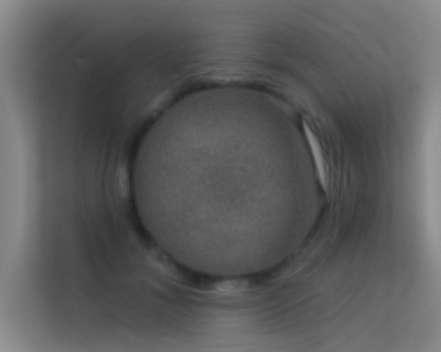 X0000113630700200909251221