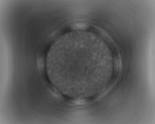 X0000113630701200909251221