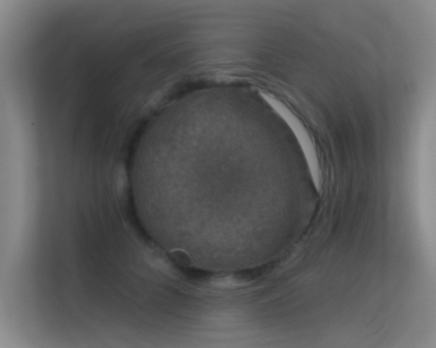 X0000113630704200909251221