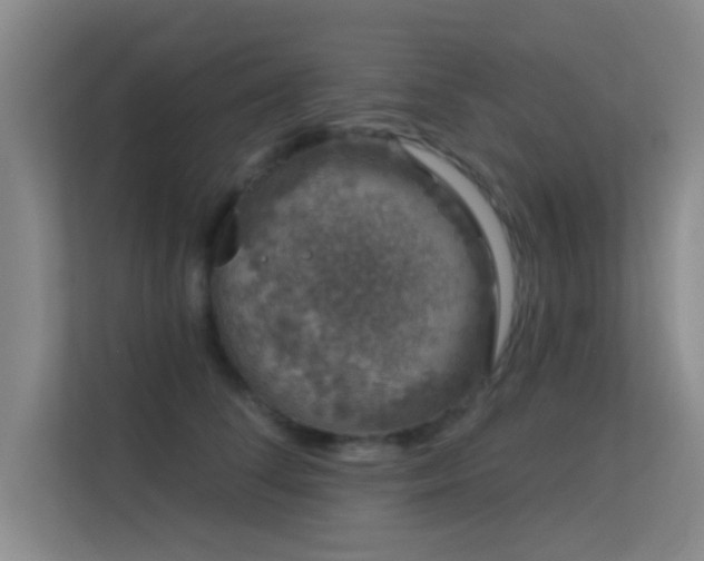 X0000113630708200909251221