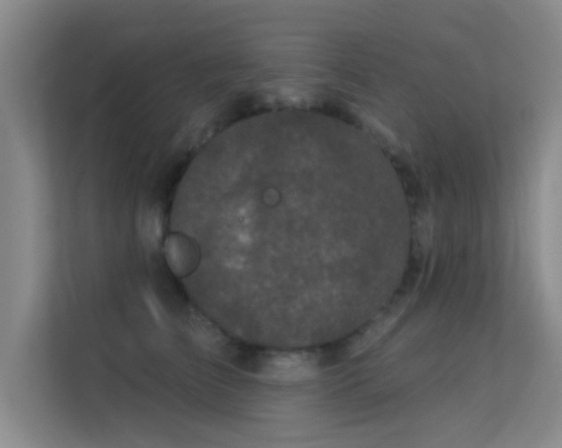 X0000113630709200909251221