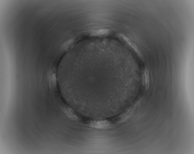 X0000113630716200909251220