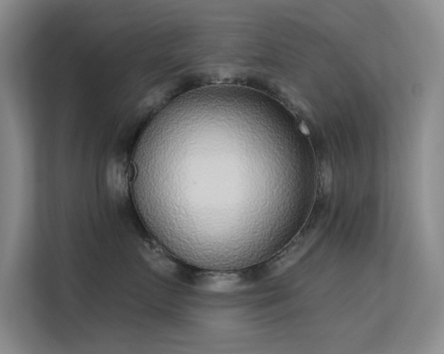 X0000113630719200909251220