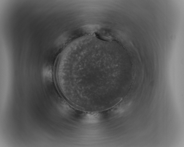 X0000113630720200909251220