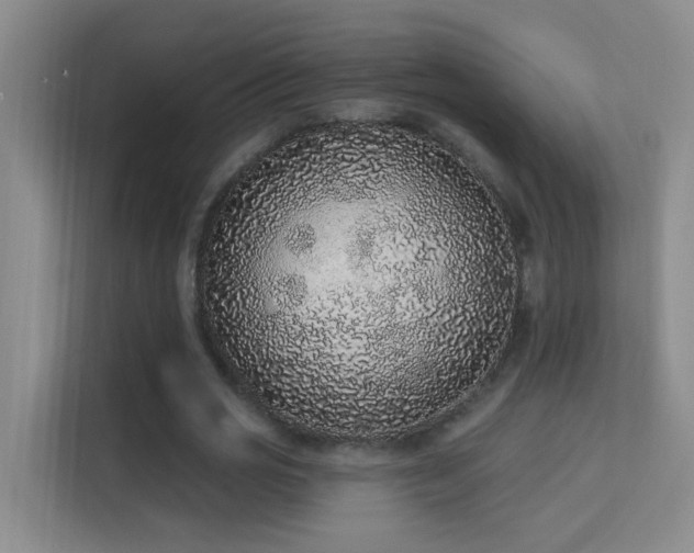 X0000113630725200909251220