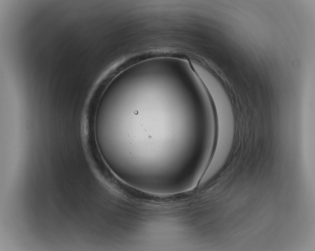 X0000113630726200909251220