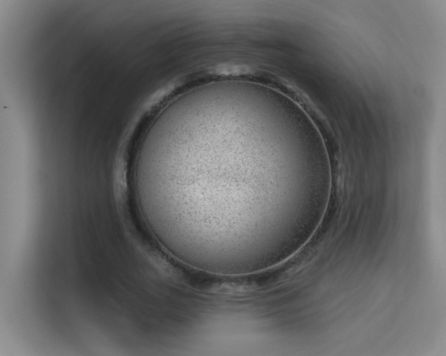 X0000113630727200909251220