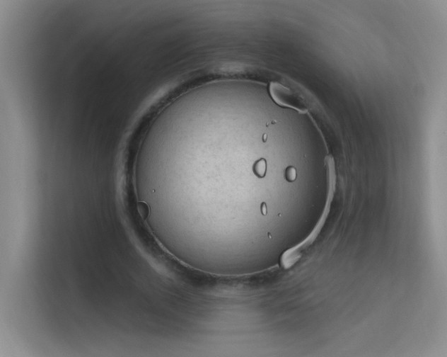 X0000113630728200909251220