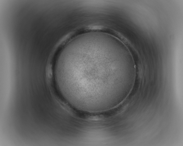 X0000113630731200909251220