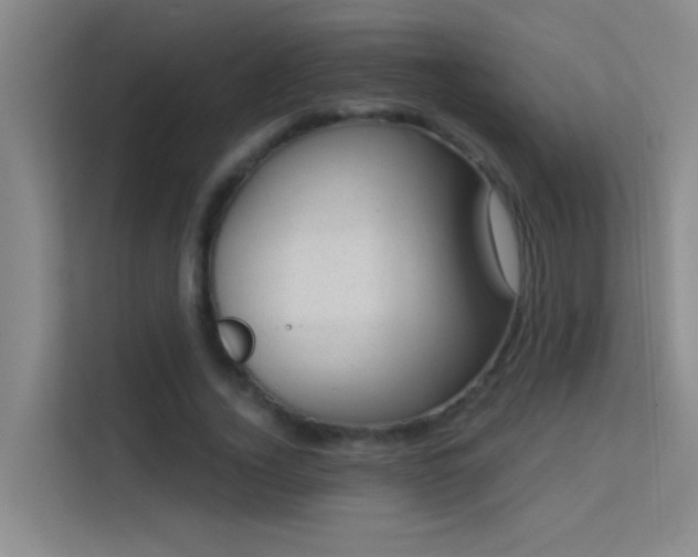 X0000113630732200909251220
