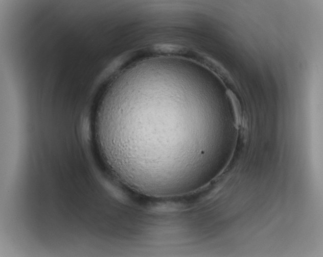 X0000113630734200909251220