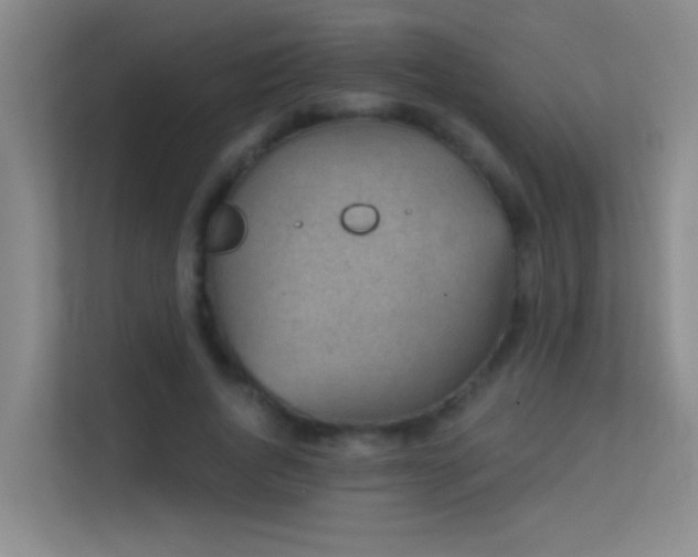 X0000113630736200909251220