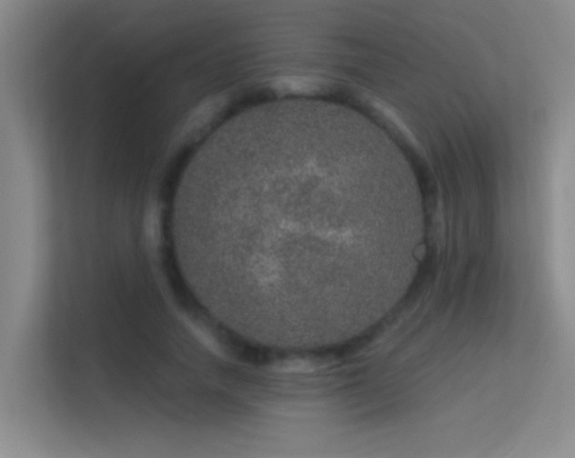 X0000113630738200909251220