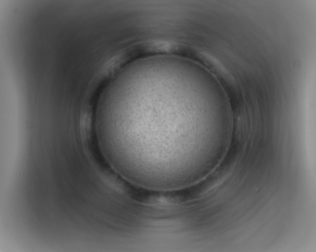X0000113630739200909251220