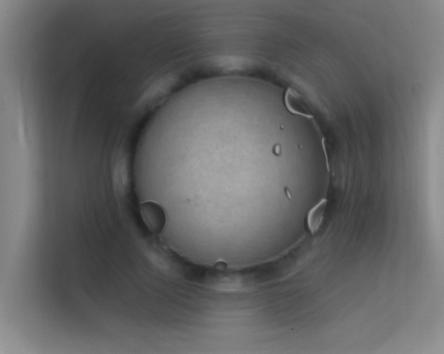 X0000113630740200909251220