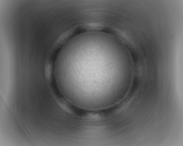 X0000113630742200909251220