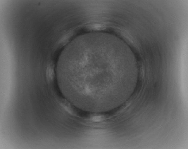 X0000113630746200909251220