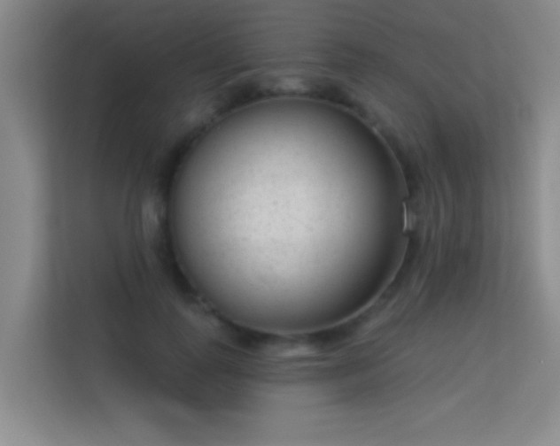X0000113630747200909251220