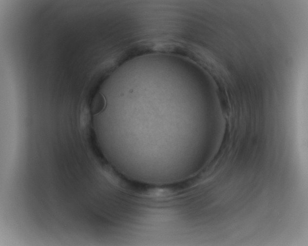 X0000113630748200909251220