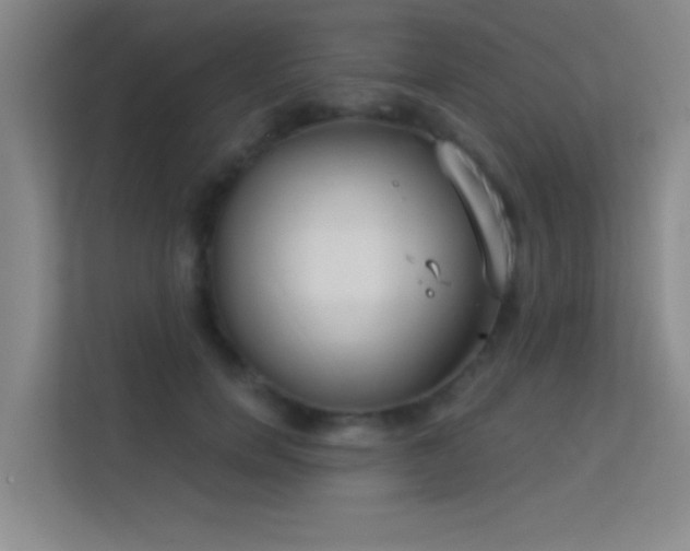 X0000113630750200909251220