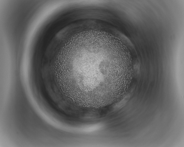 X0000113630765200909251220