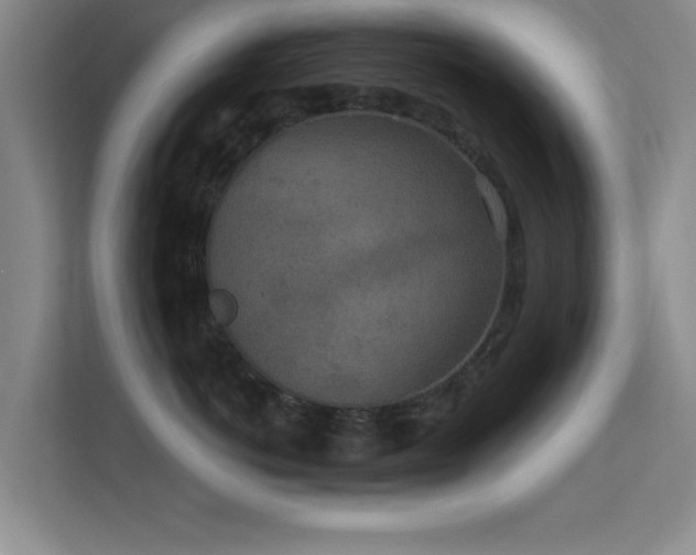 X0000113630766200909251220