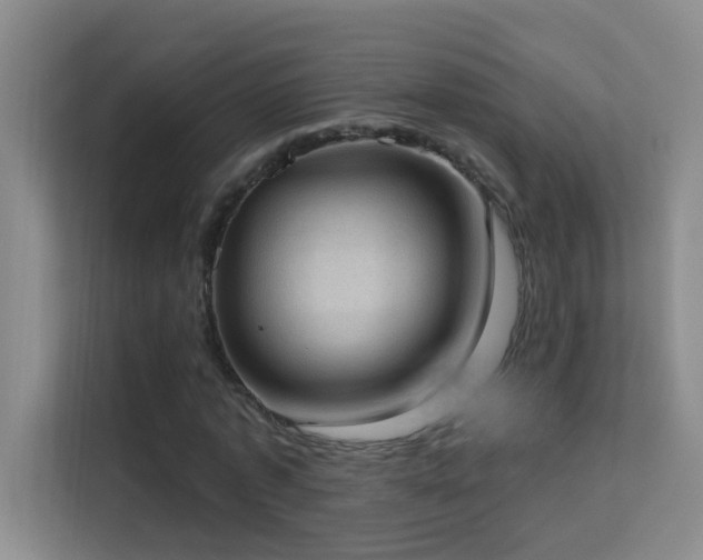 X0000113630773200909251220