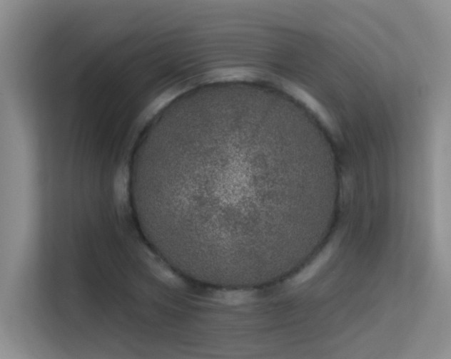 X0000113630778200909251220