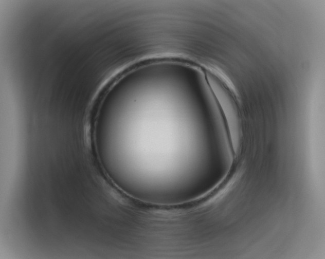 X0000113630781200909251220
