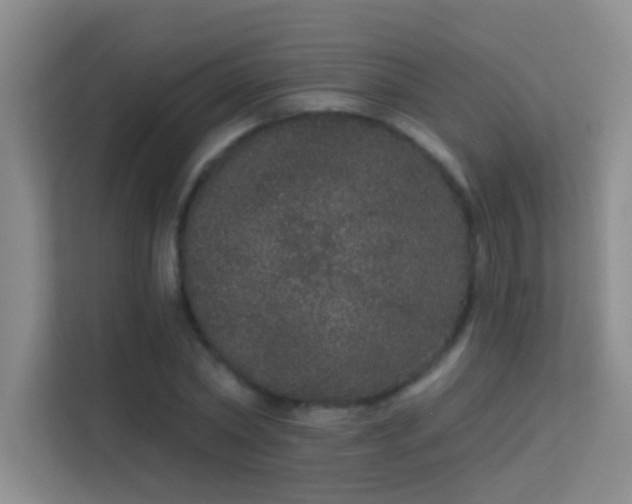 X0000113630782200909251220