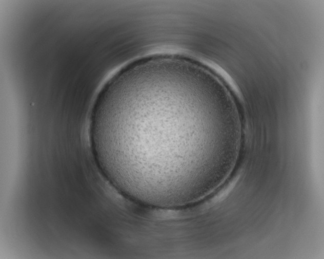 X0000113630783200909251220