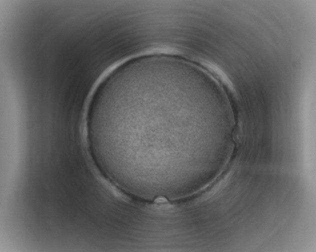 X0000113630784200909251220