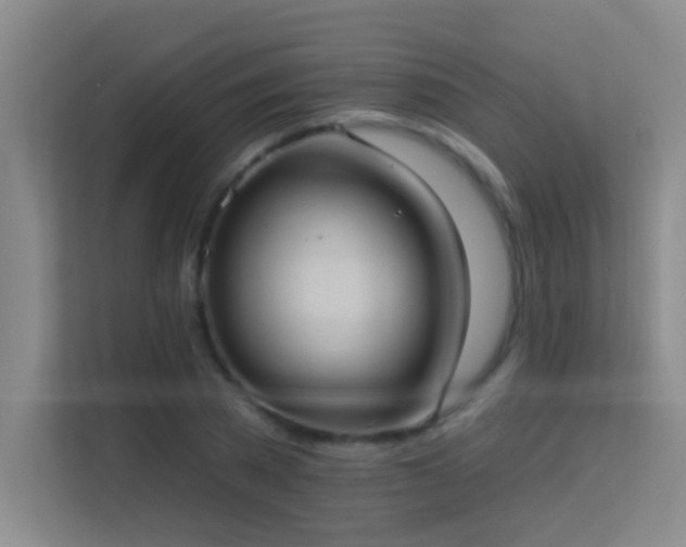 X0000113630785200909251220