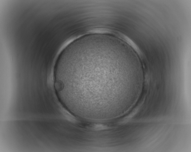 X0000113630787200909251220